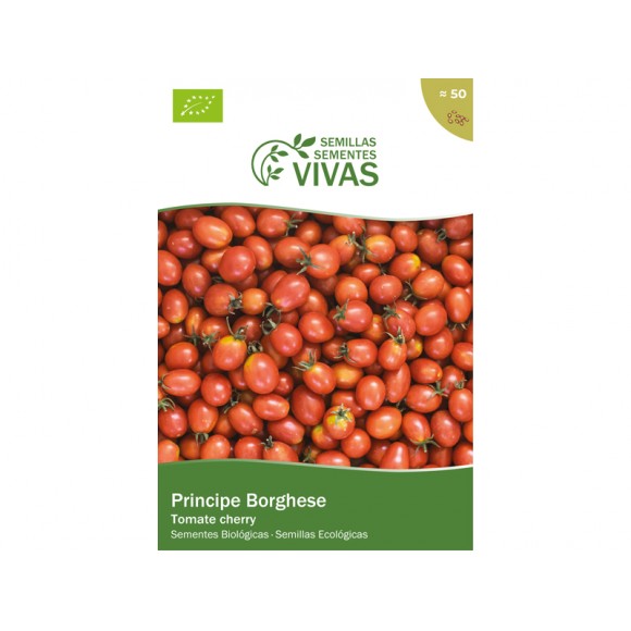 Principe Borghese 0,6 G SEMENTES VIVAS Principe Borghese 0,6 G SEMENTES VIVAS