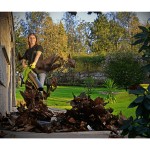 Aspirador/Soprador 3000W VITO