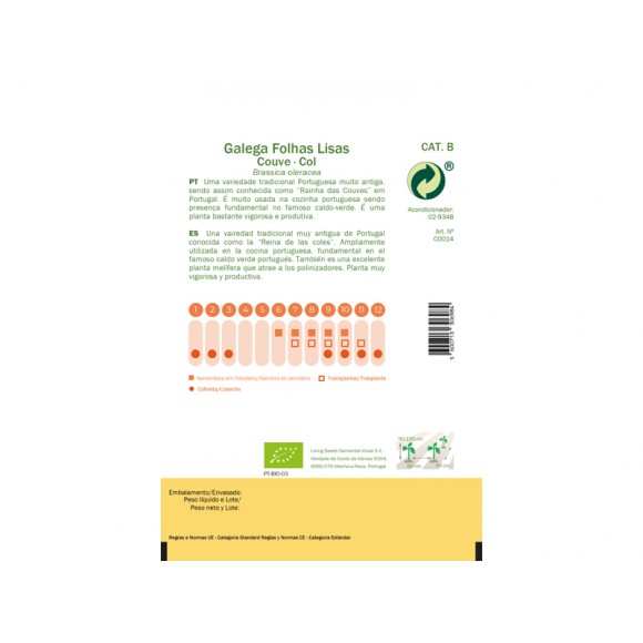 Couve Galega Folhas Lisas 1,5 G SEMENTES VIVAS