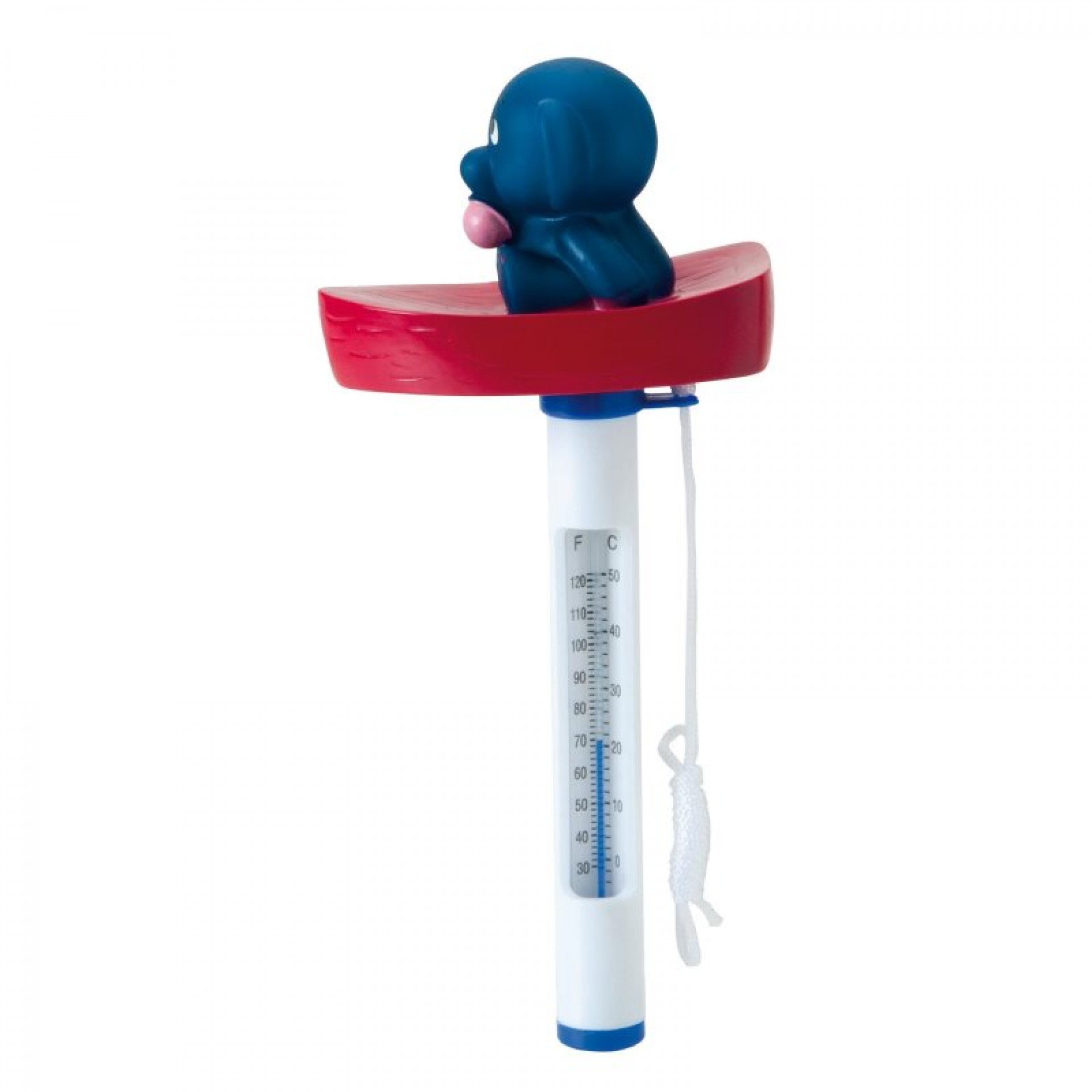Termómetro Figura SWIMPOOL