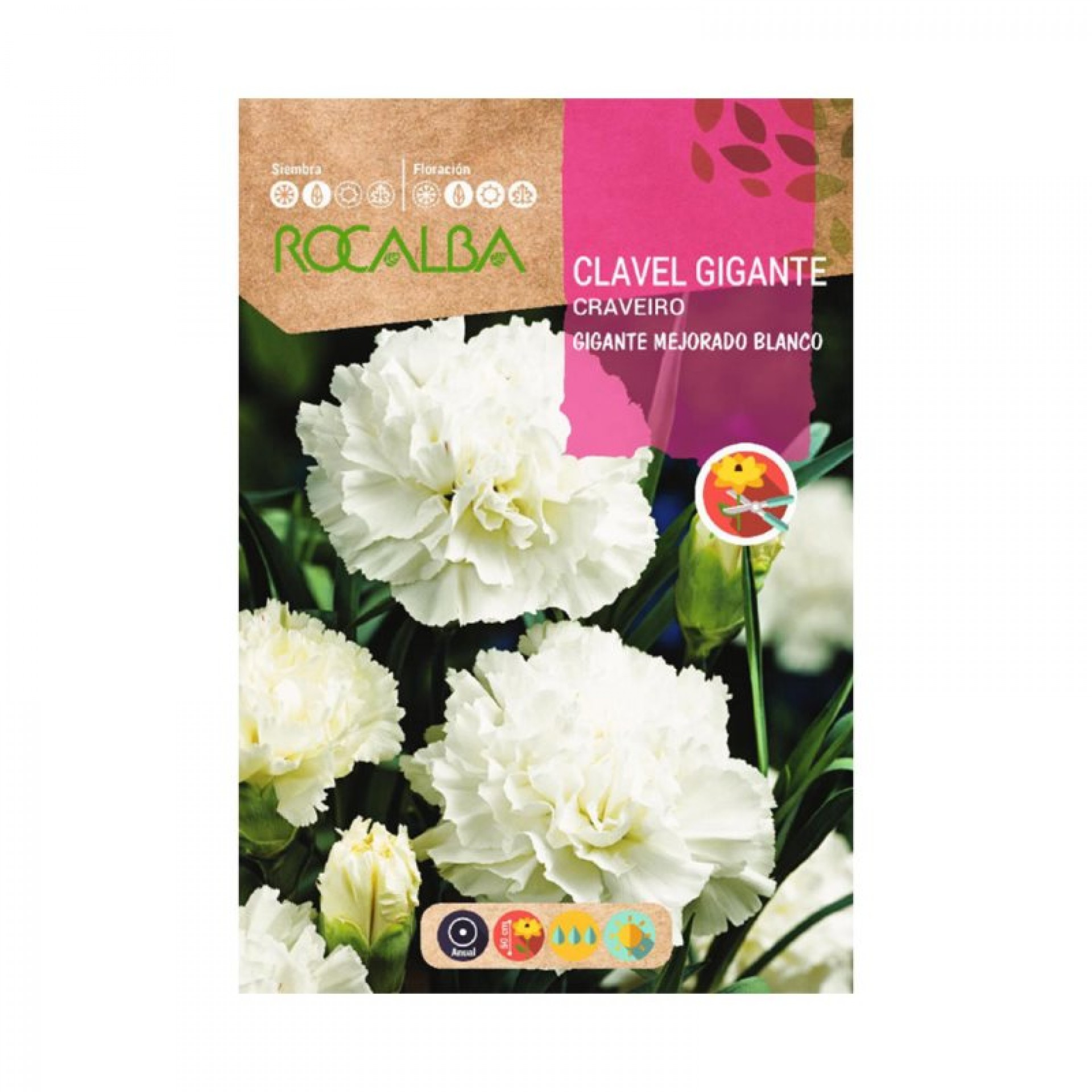 Cravo Gigante Branco 1 G ROCALBA