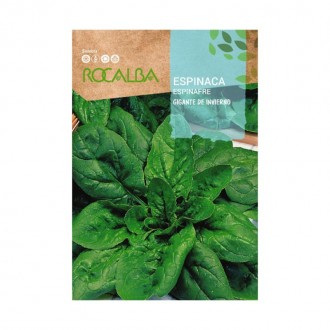 Espinafre Gigante Inverno 10 G ROCALBA