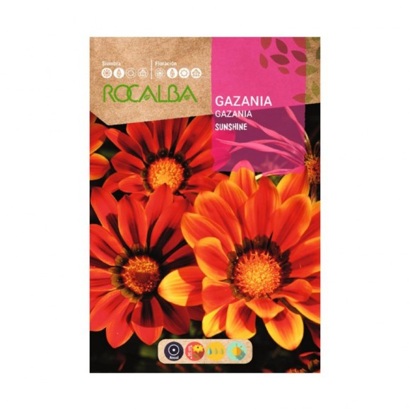 Gazania Sushine 0,2 G ROCALBA Gazania Sushine 0,2 G ROCALBA