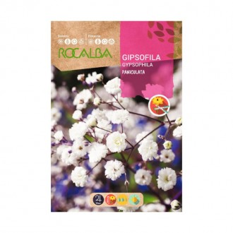 Gipsofila Paniculata Branca 4 G ROCALBA