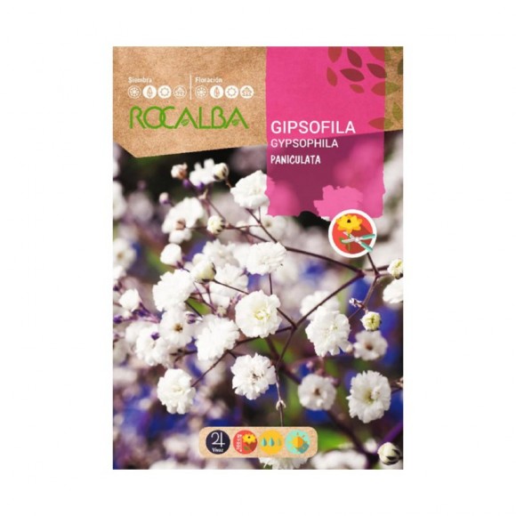 Gipsofila Paniculata Branca 4 G ROCALBA Gipsofila Paniculata Branca 4 G ROCALBA