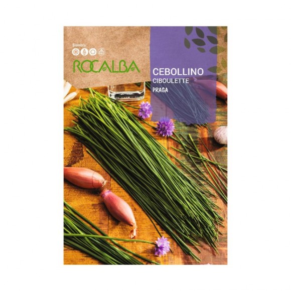 Cebolinho 2 G ROCALBA Cebolinho 2 G ROCALBA