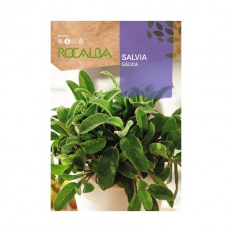 Salva 2 G ROCALBA