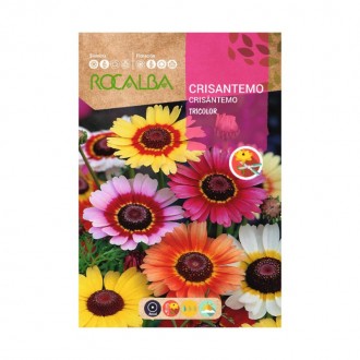 Crisantemo Tricolor 5 G ROCALBA