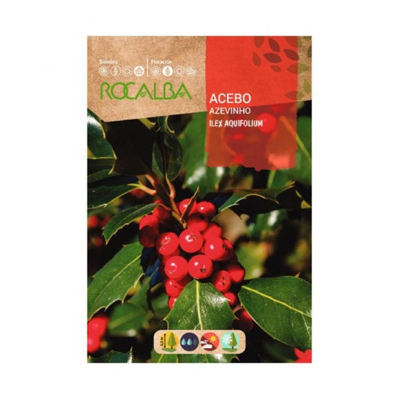 Azevinho 1 G ROCALBA Azevinho 1 G ROCALBA