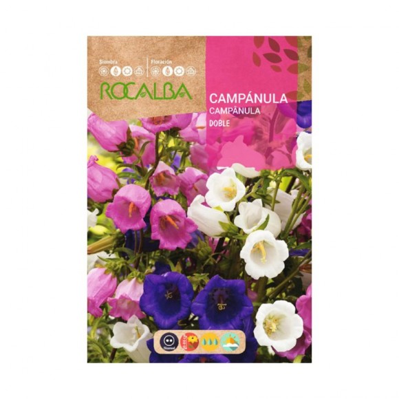 Campanula Dobrada 1 G ROCALBA Campanula Dobrada 1 G ROCALBA