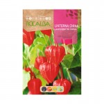 Lanterna China 1 G ROCALBA Lanterna China 1 G ROCALBA