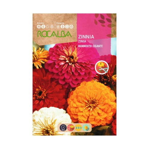 Zinia Mammouth Gigante Variado 3 G ROCALBA Zinia Mammouth Gigante Variado 3 G ROCALBA
