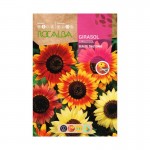 Girassol Beauté Dautomne 10 G ROCALBA Girassol Beauté Dautomne 10 G ROCALBA