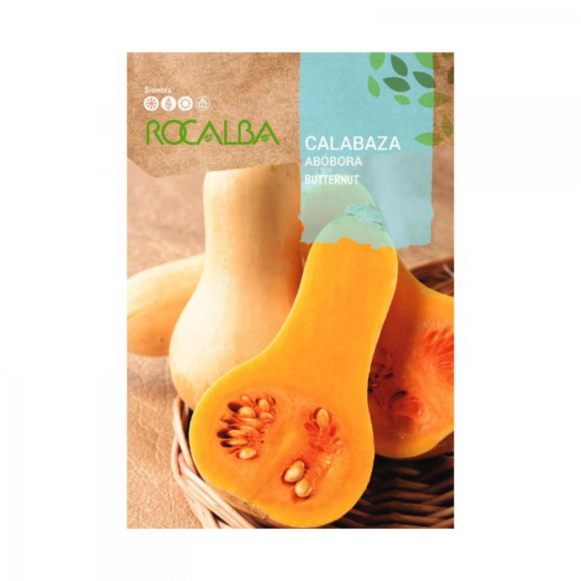 Abóbora Butternut 3 G ROCALBA