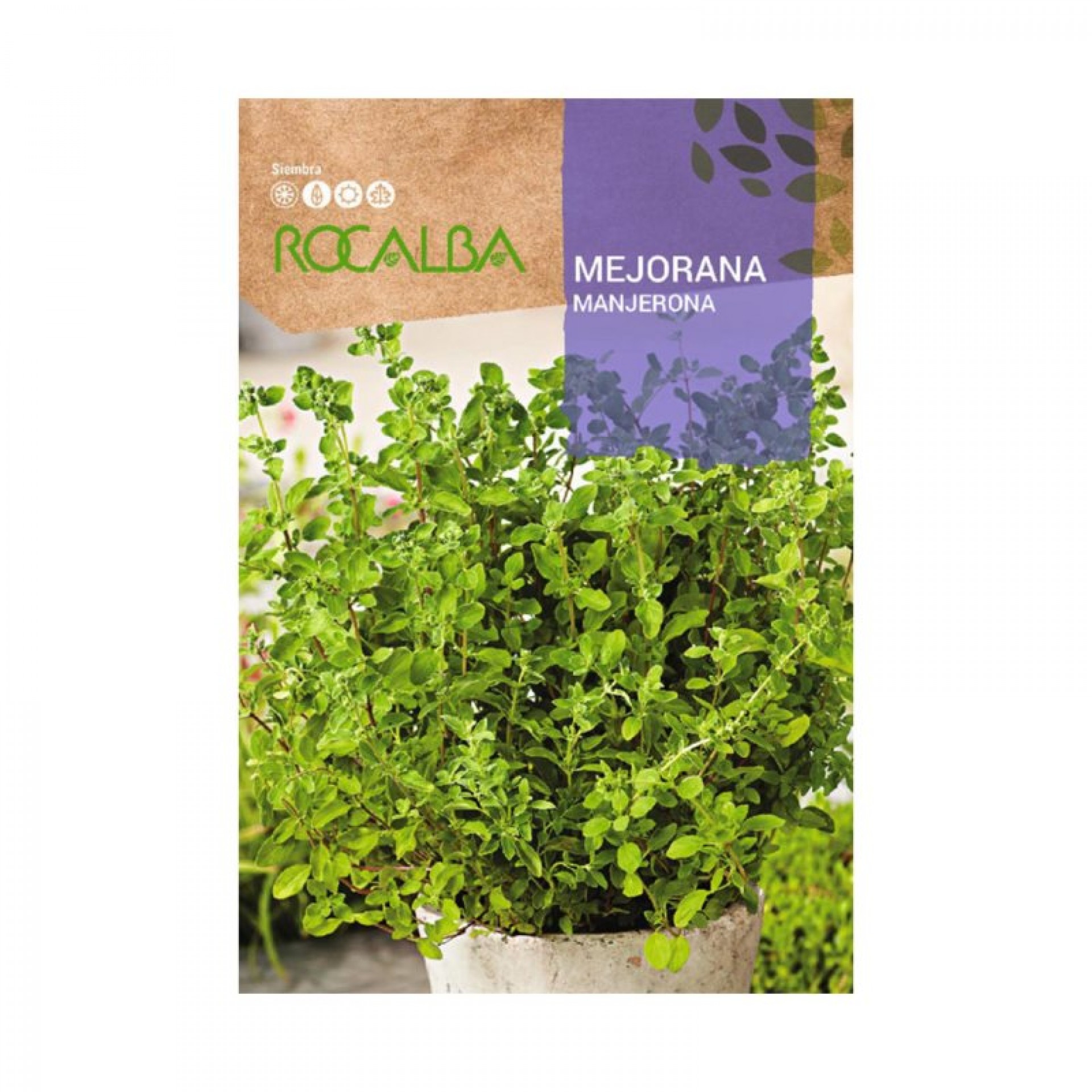 Manjerona 1 G ROCALBA