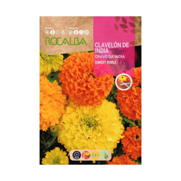 Cravo Rosa Da Índia Sunset 6 G ROCALBA Cravo Rosa Da Índia Sunset 6 G ROCALBA