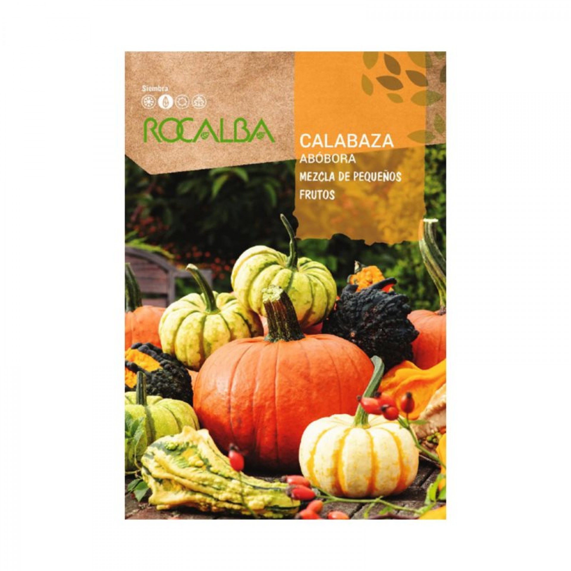 Abóbora Mistura Pequenos Frutos 3 G ROCALBA