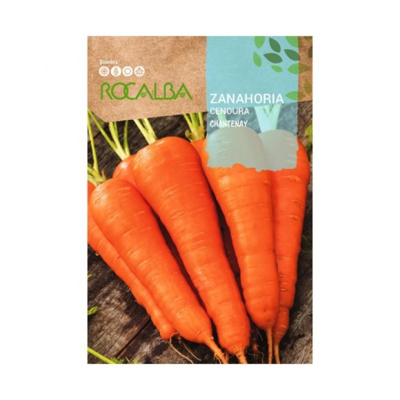 Cenoura Chantenay 25 G ROCALBA Cenoura Chantenay 25 G ROCALBA