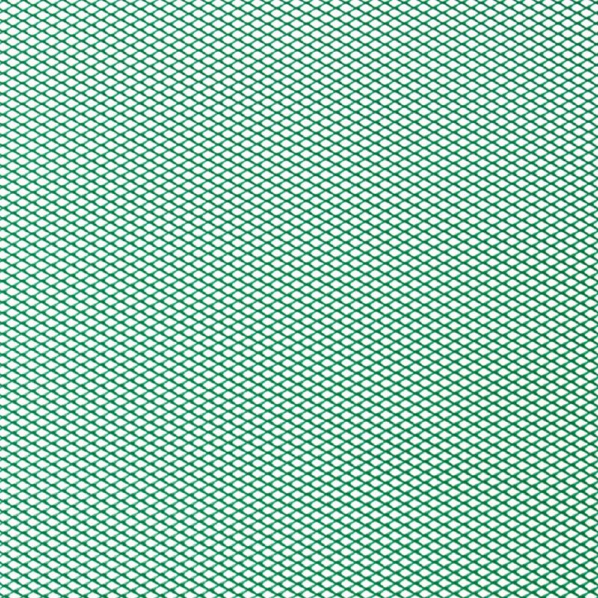Rede Mosquiteira Plastificada Verde 1X3 M NORTENE