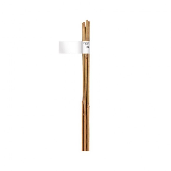 Tutor Bambu Natural 12-14 MM 180 CM NORTENE Tutor Bambu Natural 12-14 MM 180 CM NORTENE