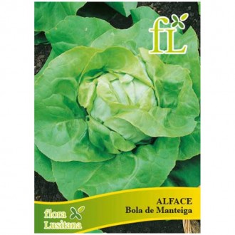 Alface Bola de Manteiga 10 G FLORA LUSITANA