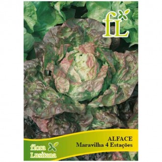 Alface Maravilha 4Esta��es 10 G FLORA LUSITANA