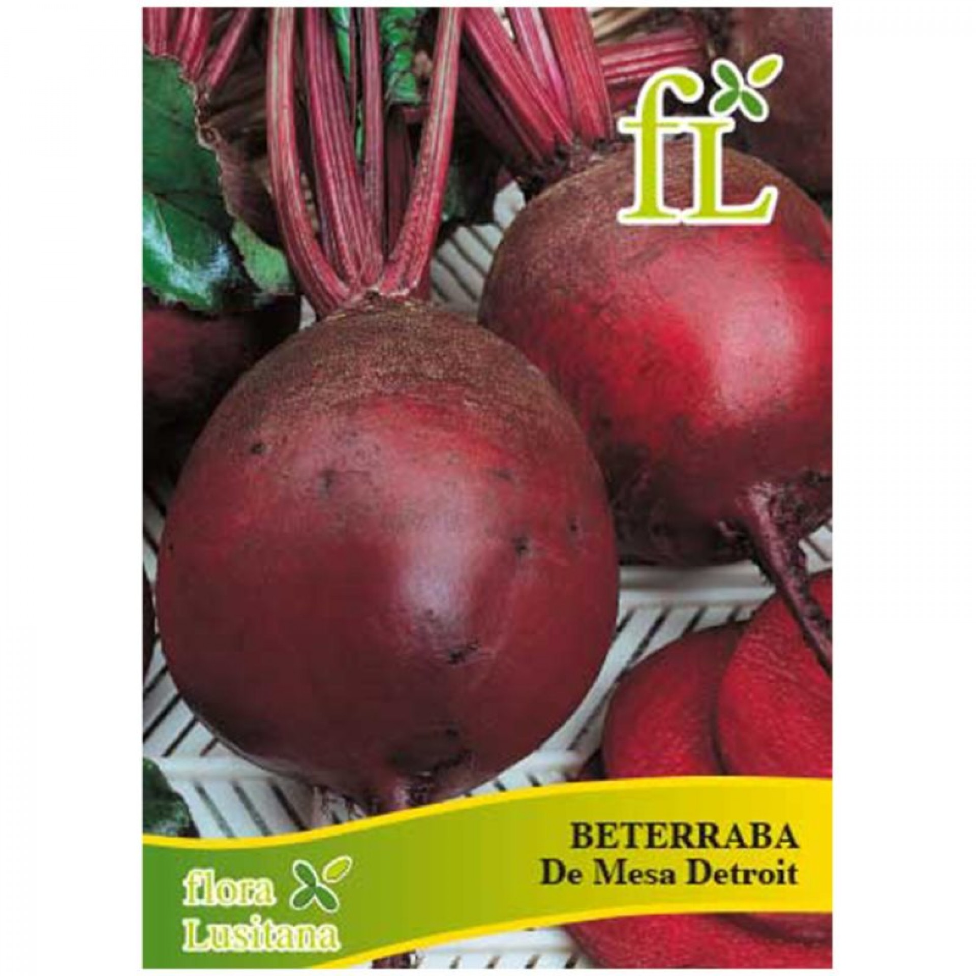 Beterraba Mesa de Detroit 10 G FLORA LUSITANA