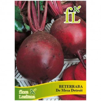 Beterraba Mesa de Detroit 10 G FLORA LUSITANA