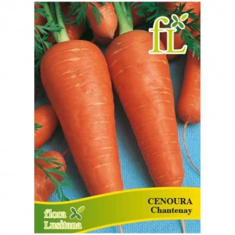Cenoura Chantenay 10 G FLORA LUSITANA