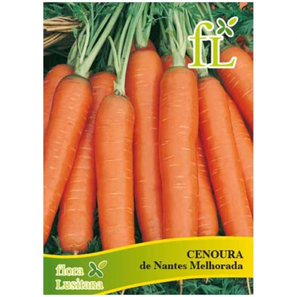 Cenoura Nantes Melhorada 10 G FLORA LUSITANA Cenoura Nantes Melhorada 10 G FLORA LUSITANA