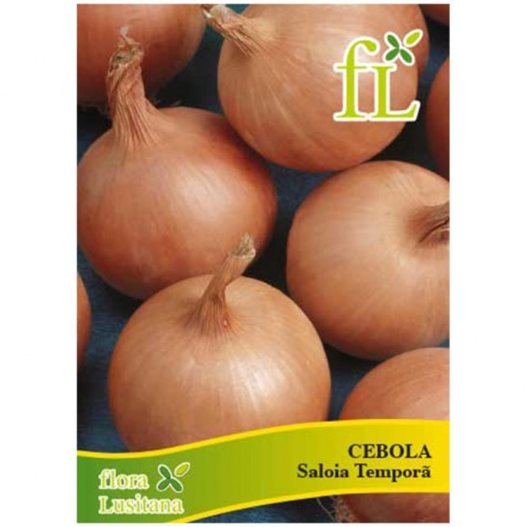 Cebola Saloia Tempora 10 G FLORA LUSITANA Cebola Saloia Tempora 10 G FLORA LUSITANA