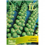 Couve Bruxelas 10 G FLORA LUSITANA Couve Bruxelas 10 G FLORA LUSITANA