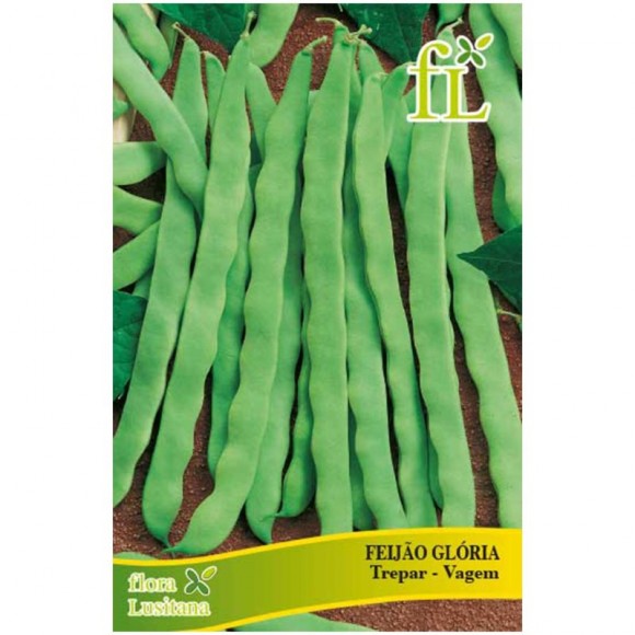 Feijão Glória Trepar 100 G FLORA LUSITANA Feijão Glória Trepar 100 G FLORA LUSITANA