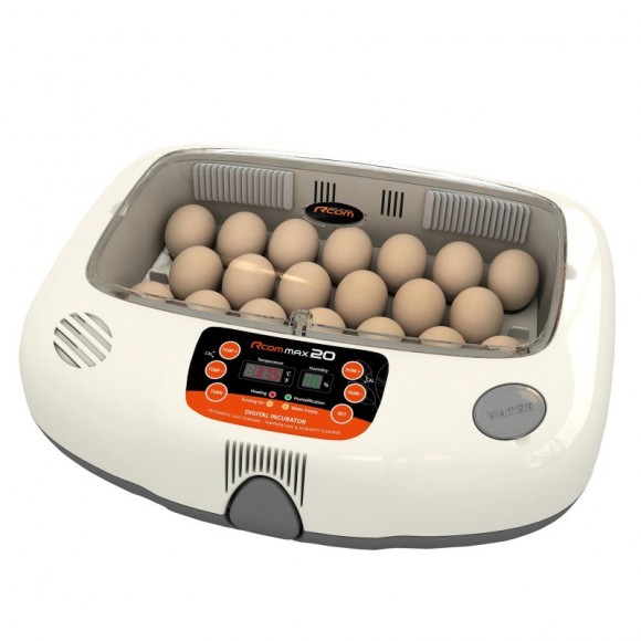 INCUBADORA AUTOMÁTICA MAX20 RCOM INCUBADORA AUTOMÁTICA MAX20 RCOM