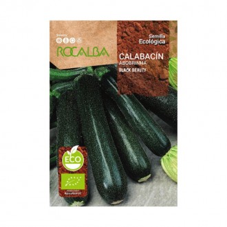 Courgette Black Beauty Bio 5 G ROCALBA