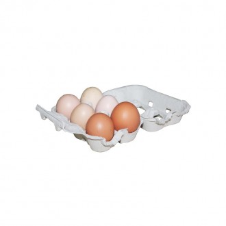 Embalagem de Cart�o p/Ovos Galinha