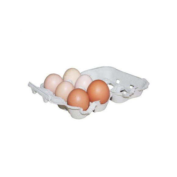 Embalagem de Cartão p/Ovos Galinha Embalagem de Cartão p/Ovos Galinha
