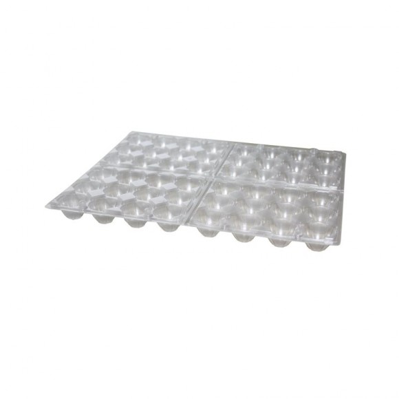 Embalagem de Plástico p/Ovos Codorniz Embalagem de Plástico p/Ovos Codorniz