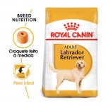 Alim Seco Cão Labrador Retriever 12 KG ROYAL CANIN Alim Seco Cão Labrador Retriever 12 KG ROYAL CANIN