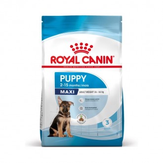 Alimento Seco C�o Maxi J�nior 15 KG ROYAL CANIN