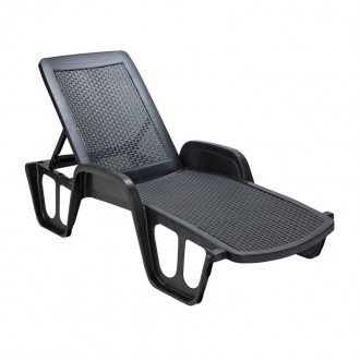 Espregui�adeira Pool Antracite PROGARDEN