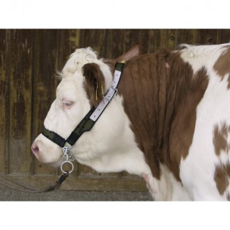 Cabe�ada Vitelos/Vacas L KERBL