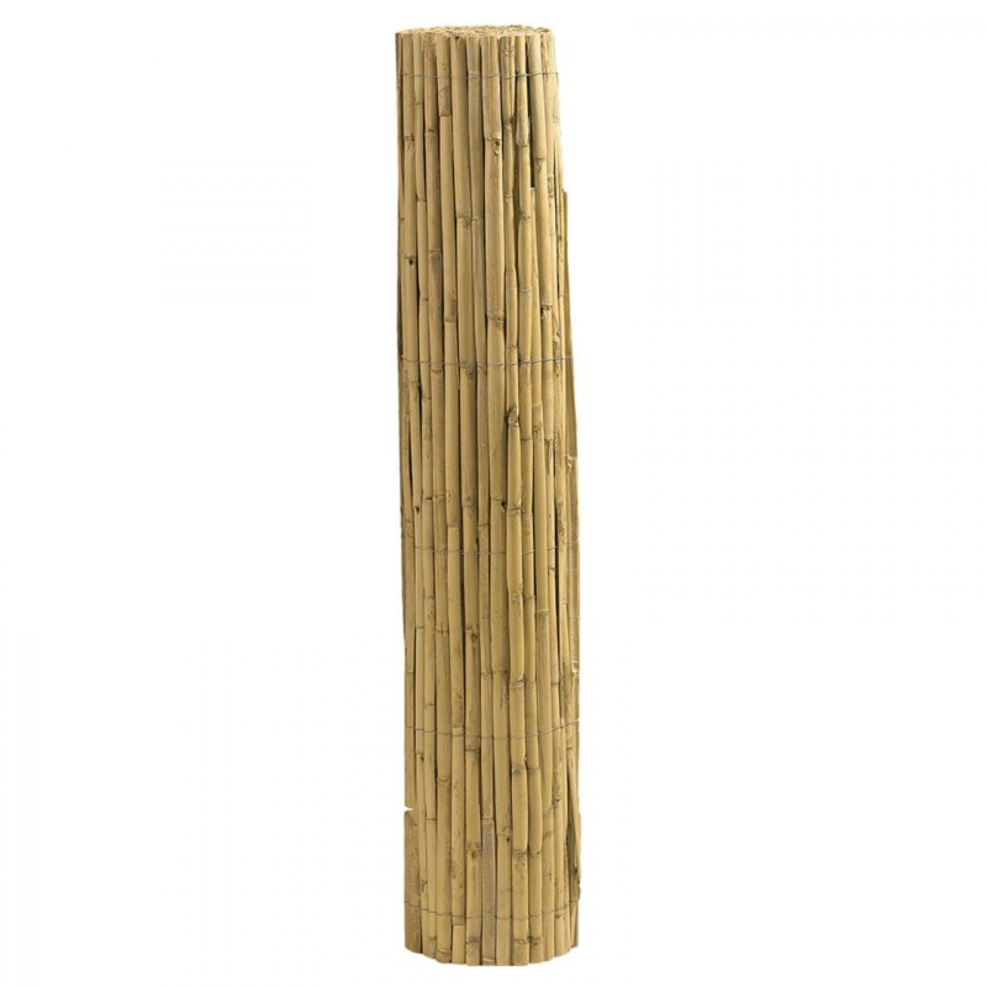 Caniço Partido 1X5 M NORTENE