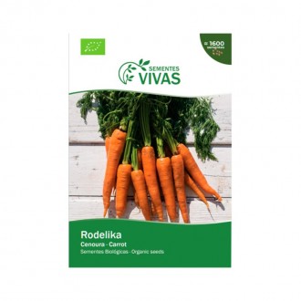 Cenoura rodelika 2GR SEMENTES VIVAS