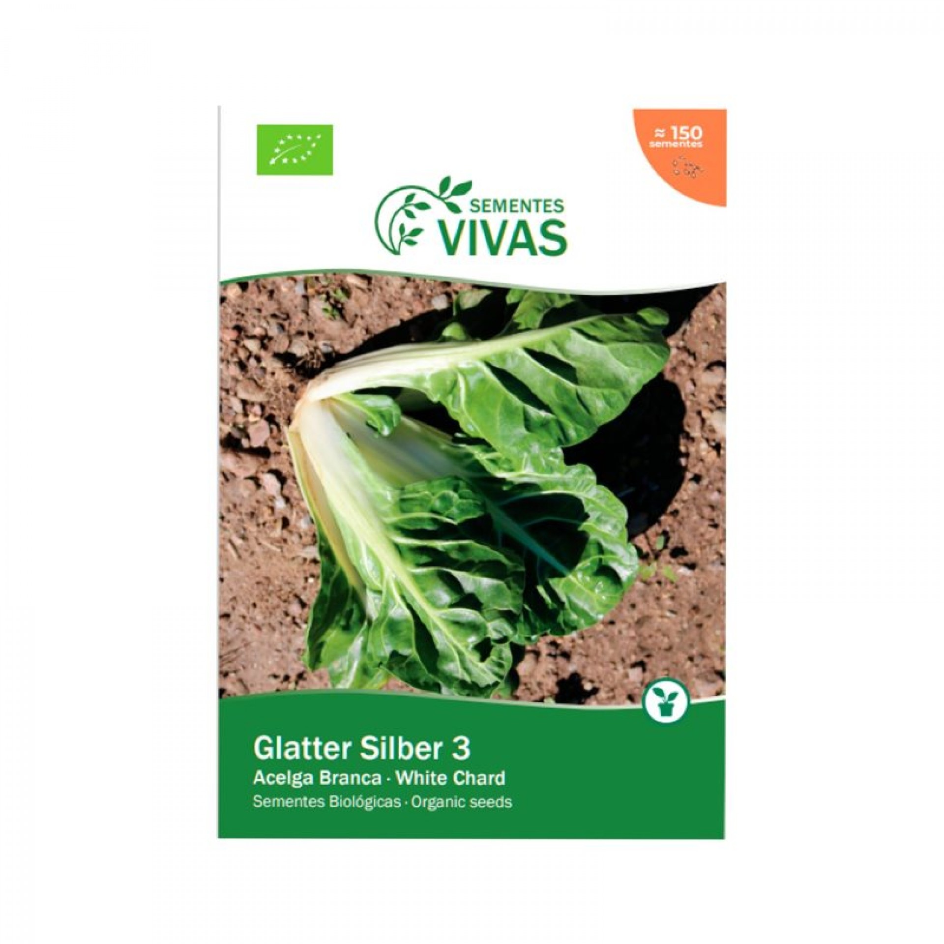 Acelga Glatter Silber 3 G SEMENTES VIVAS