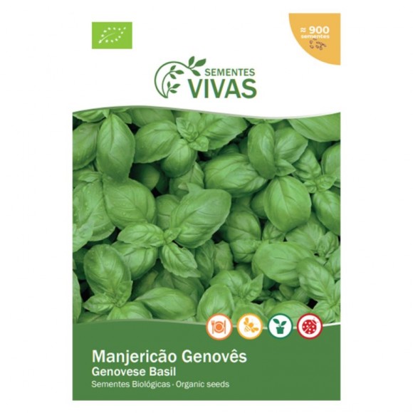 Manjericão 1 G SEMENTES VIVAS Manjericão 1 G SEMENTES VIVAS