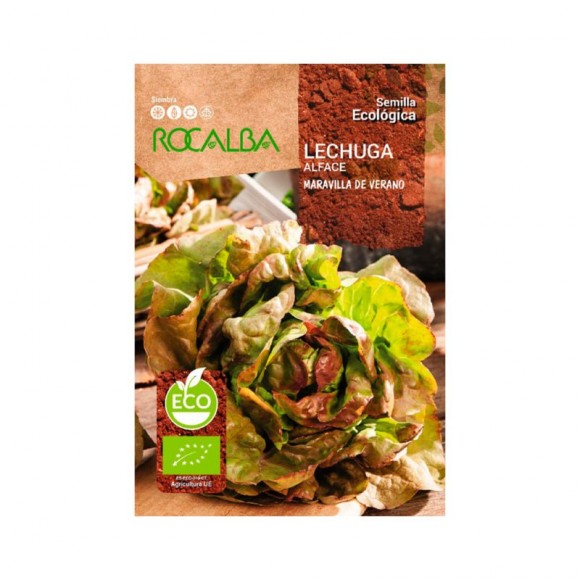 Alface Maravilha Verão Bio 0,1 G ROCALBA Alface Maravilha Verão Bio 0,1 G ROCALBA