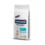 Alim Sc Cachorro Maxi Frango E Arroz 12 KG ADVANCE Alim Sc Cachorro Maxi Frango E Arroz 12 KG ADVANCE