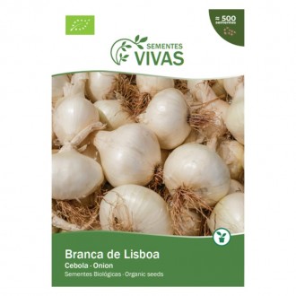 Cebola Branca De Lisboa 1 G SEMENTES VIVAS