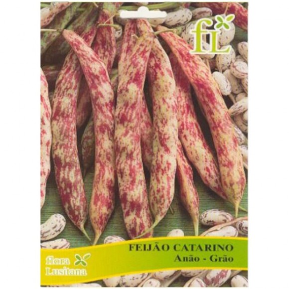 FEIJÃO CATARINO ANÃO 250 G FLORA LUSITANA FEIJÃO CATARINO ANÃO 250 G FLORA LUSITANA